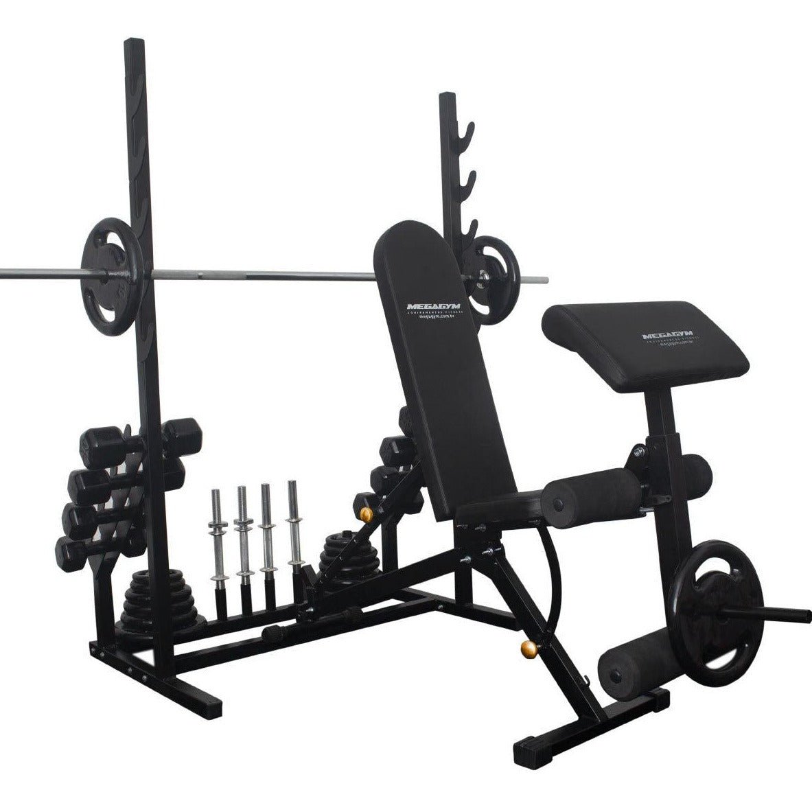Banco Regulável 10x1 com Cadeira Extensora + Scott + Rack Agachamento - Imagem 1