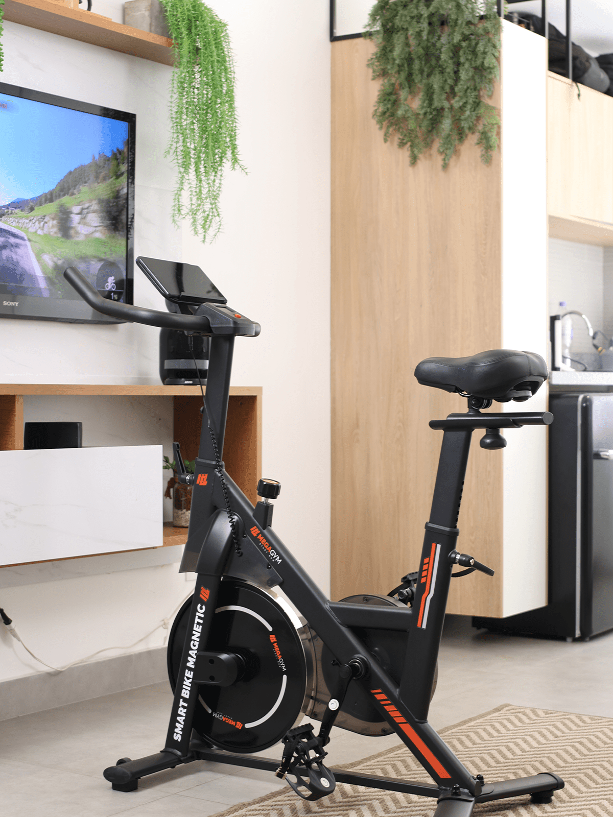 Bicicleta Ergométrica Smart Bike Magnetic RatoFitness - Imagem 17