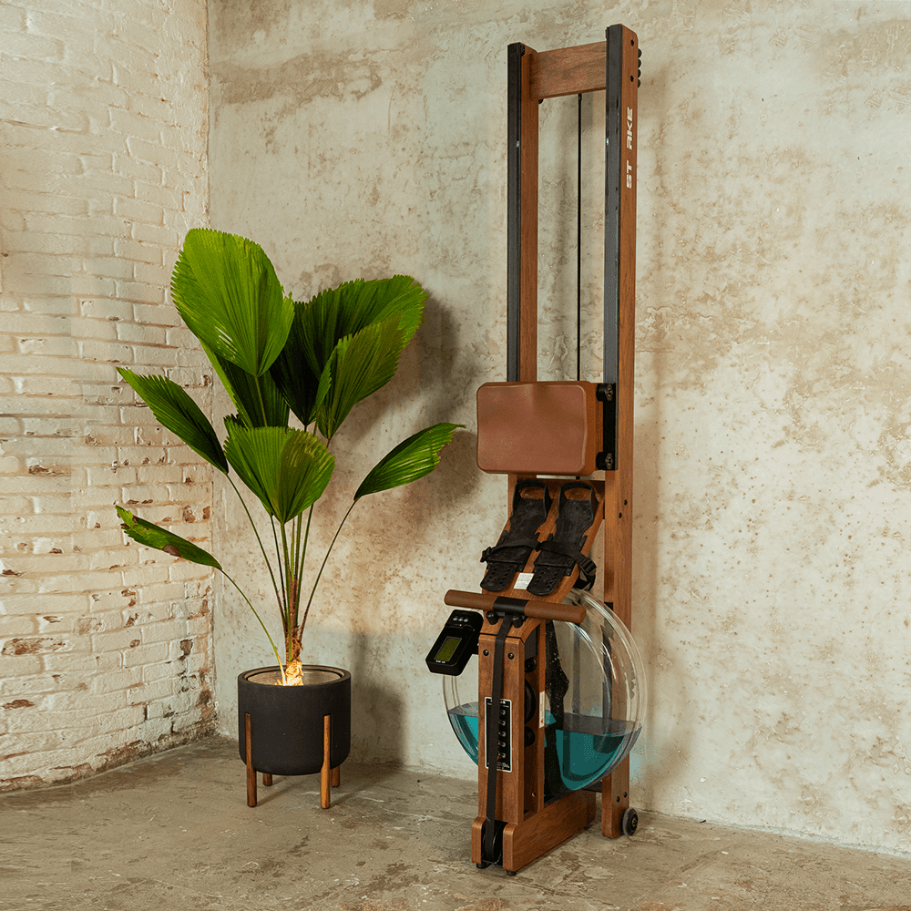 Simulador de Remo Starke S+ - Profissional - Imagem 2